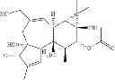Fig. 52 - Compositions and methods of use of phorbol esters for the treatment of stroke
