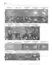 Fig. 15 - Composition comprising herbal extracts or fermented products thereof having lactic acid bacteria for preventing or treating respiratory diseases