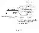 Fig. 02 - MATERIALS AND METHODS FOR DIRECTING AN IMMUNE RESPONSE TO AN EPITOPE