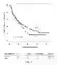 Fig. 08 - MATERIALS AND METHODS FOR DIRECTING AN IMMUNE RESPONSE TO AN EPITOPE