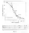 Fig. 09 - MATERIALS AND METHODS FOR DIRECTING AN IMMUNE RESPONSE TO AN EPITOPE