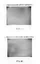 Fig. 20 - Manufacturing and Purification Processes of Complex Protein found in Fraction IV to make a separated Apo, Transferrin, and Alpha 1 Anti strepsin (A1AT) or A combined Transferrin/Apo/Human Albumin/A1AT and all new found proteins