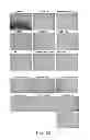 Fig. 41 - Manufacturing and Purification Processes of Complex Protein found in Fraction IV to make a separated Apo, Transferrin, and Alpha 1 Anti strepsin (A1AT) or A combined Transferrin/Apo/Human Albumin/A1AT and all new found proteins