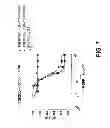 Fig. 12 - Methods of treating disease with FGFR1 fusion proteins