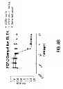 Fig. 14 - Methods of treating disease with FGFR1 fusion proteins