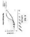 Fig. 25 - Methods of treating disease with FGFR1 fusion proteins