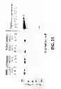 Fig. 44 - Methods of treating disease with FGFR1 fusion proteins