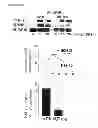 Fig. 07 - Antagonists of IAP-SHPS1 interaction