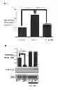 Fig. 11 - Antagonists of IAP-SHPS1 interaction