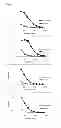Fig. 02 - Antibodies to CD70