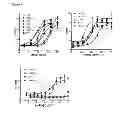 Fig. 08 - Antibodies to CD70