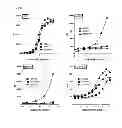 Fig. 14 - Antibodies to CD70