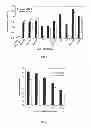 Fig. 04 - Antibodies against HER3