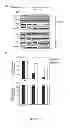 Fig. 10 - Antibodies against HER3
