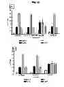 Fig. 34 - SINGLE-CHAIN MULTIVALENT BINDING PROTEINS WITH EFFECTOR FUNCTION