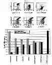 Fig. 63 - SINGLE-CHAIN MULTIVALENT BINDING PROTEINS WITH EFFECTOR FUNCTION