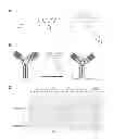 Fig. 03 - Hydrazinyl-indole compounds and methods for producing a conjugate