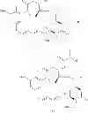 Fig. 34 - Hydrazinyl-indole compounds and methods for producing a conjugate