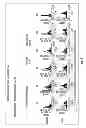 Fig. 06 - GENERATION OF ANTIGEN SPECIFIC T CELLS