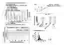 Fig. 07 - GENERATION OF ANTIGEN SPECIFIC T CELLS