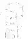 Fig. 02 - Chimeric OspA genes, proteins and methods of use thereof
