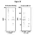 Fig. 27 - Chimeric OspA genes, proteins and methods of use thereof