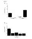 Fig. 09 - Pathogenic bacteria