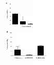 Fig. 10 - Pathogenic bacteria