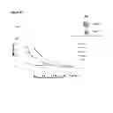 Fig. 22 - Pathogenic bacteria