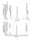 Fig. 06 - TEMPO-mediated glycoconjugation of immunogenic composition against Campylobacter jejuni with improved structural integrity and immunogenicity