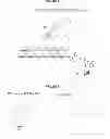 Fig. 04 - Tyrosine ligation process