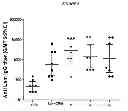 Fig. 06 - Tyrosine ligation process