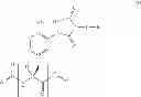 Fig. 08 - Tyrosine ligation process
