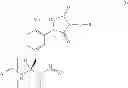 Fig. 15 - Tyrosine ligation process