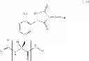 Fig. 20 - Tyrosine ligation process