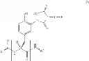 Fig. 22 - Tyrosine ligation process