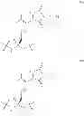 Fig. 23 - Tyrosine ligation process