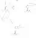Fig. 30 - Tyrosine ligation process