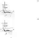 Fig. 41 - Tyrosine ligation process