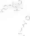 Fig. 49 - Tyrosine ligation process