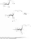 Fig. 99 - Tyrosine ligation process