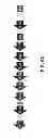 Fig. 16 - CMV glycoproteins and recombinant vectors