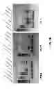 Fig. 17 - CMV glycoproteins and recombinant vectors