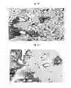 Fig. 10 - Rapid and prolonged immunologic-therapeutic