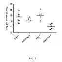 Fig. 13 - Rapid and prolonged immunologic-therapeutic