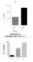 Fig. 06 - Expression Systems