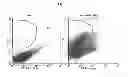 Fig. 08 - Expression Systems