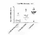 Fig. 06 - COMPOSITIONS, VECTORS, KITS, AND METHODS FOR IMMUNIZING AGAINST AVIAN INFECTIOUS BRONCHITIS VIRUS
