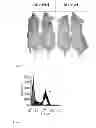 Fig. 07 - Allogeneic tumor cell vaccination