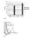 Fig. 15 - Allogeneic tumor cell vaccination